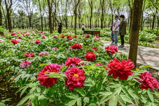 2：三大+书市+特色小镇打卡文旅新地标凯发K8旗舰厅120小时玩转副中心-(图8)